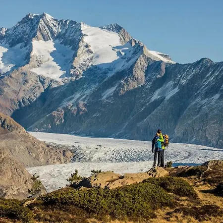 Apartman Carpe Diem 2 *